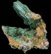 Silky, Fibrous Malachite Crystals - Morocco #42031-1
